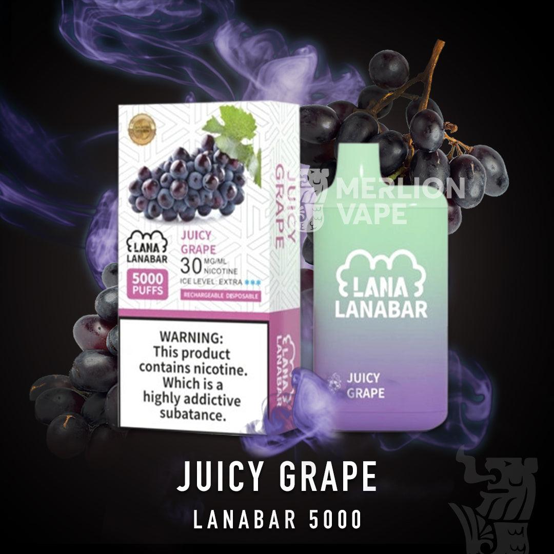 Lana Bar 5000 Rechargeable Disposable (Merlion Vape Sg) - Juicy Grape - Merlion Vape Sg
