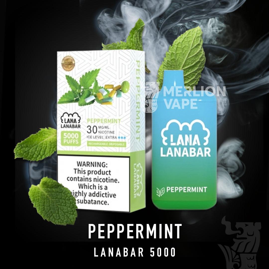 Lana Bar 5000 Rechargeable Disposable (Merlion Vape Sg) - Peppermint - Merlion Vape Sg